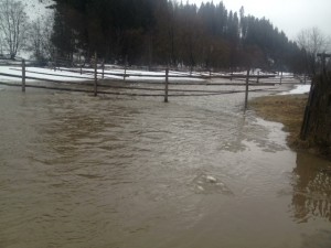 inundatii Dorna