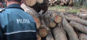 control politie lemn