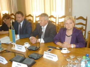 delegatie ucraina la suceava (1)