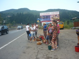 fructe vandute la marginea drumului (4)