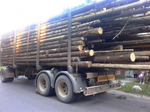 camion cu lemne (1)