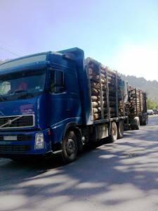 camion cu lemne (2)