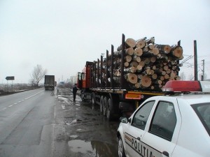 controale lemn politie