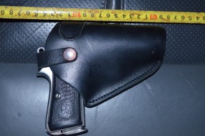 pistol (1)