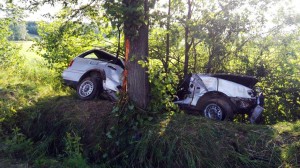 accident masina in copac (3)