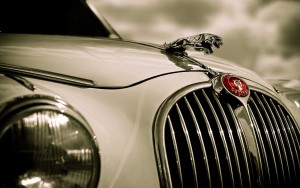jaguar masina
