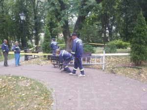 copaci protejati parc suceava (2)