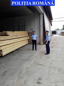lemn confiscat (1)